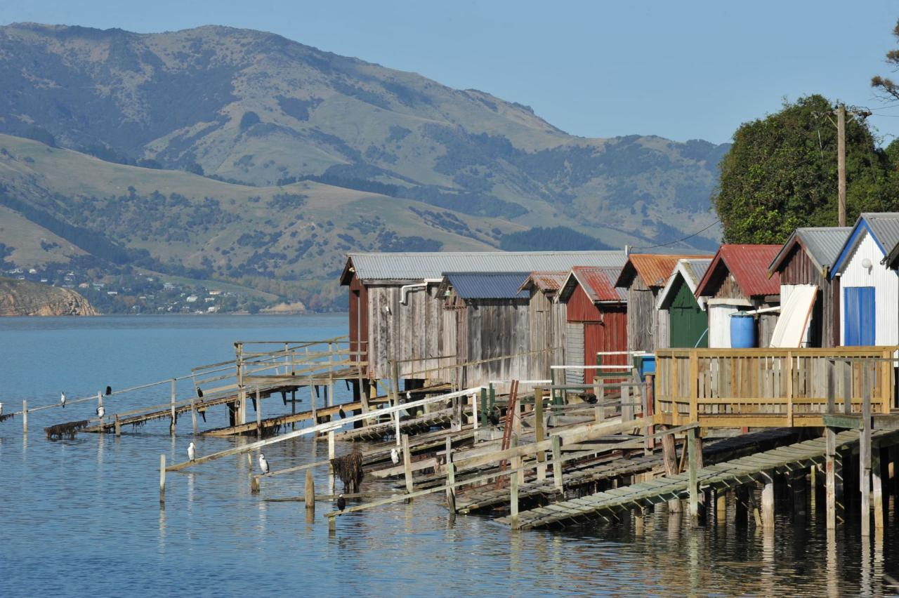 Akaroa Farm Tour - Small Group Tour - Photo 1 of 11